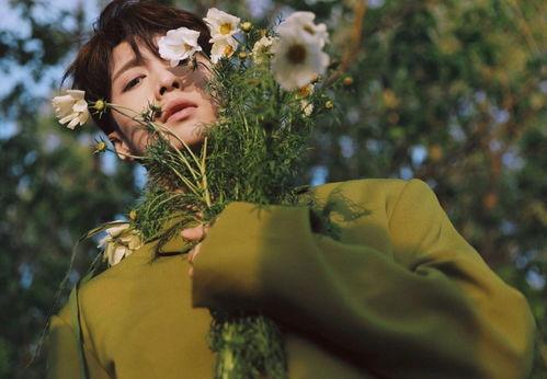 娱乐圈吃瓜封面图片,封面图片背后的惊人真相